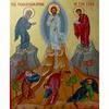 Transfiguration
