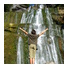 Face à la Cascade