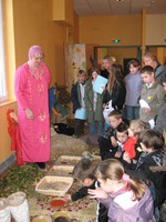 Au pays de Jesus 058