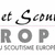 scouts d'europe